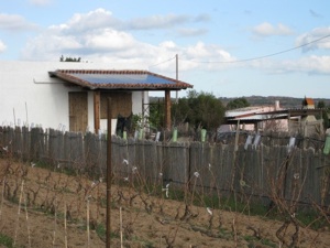 Risorse Solari Srl Impianti fotovoltaici Sardegna 